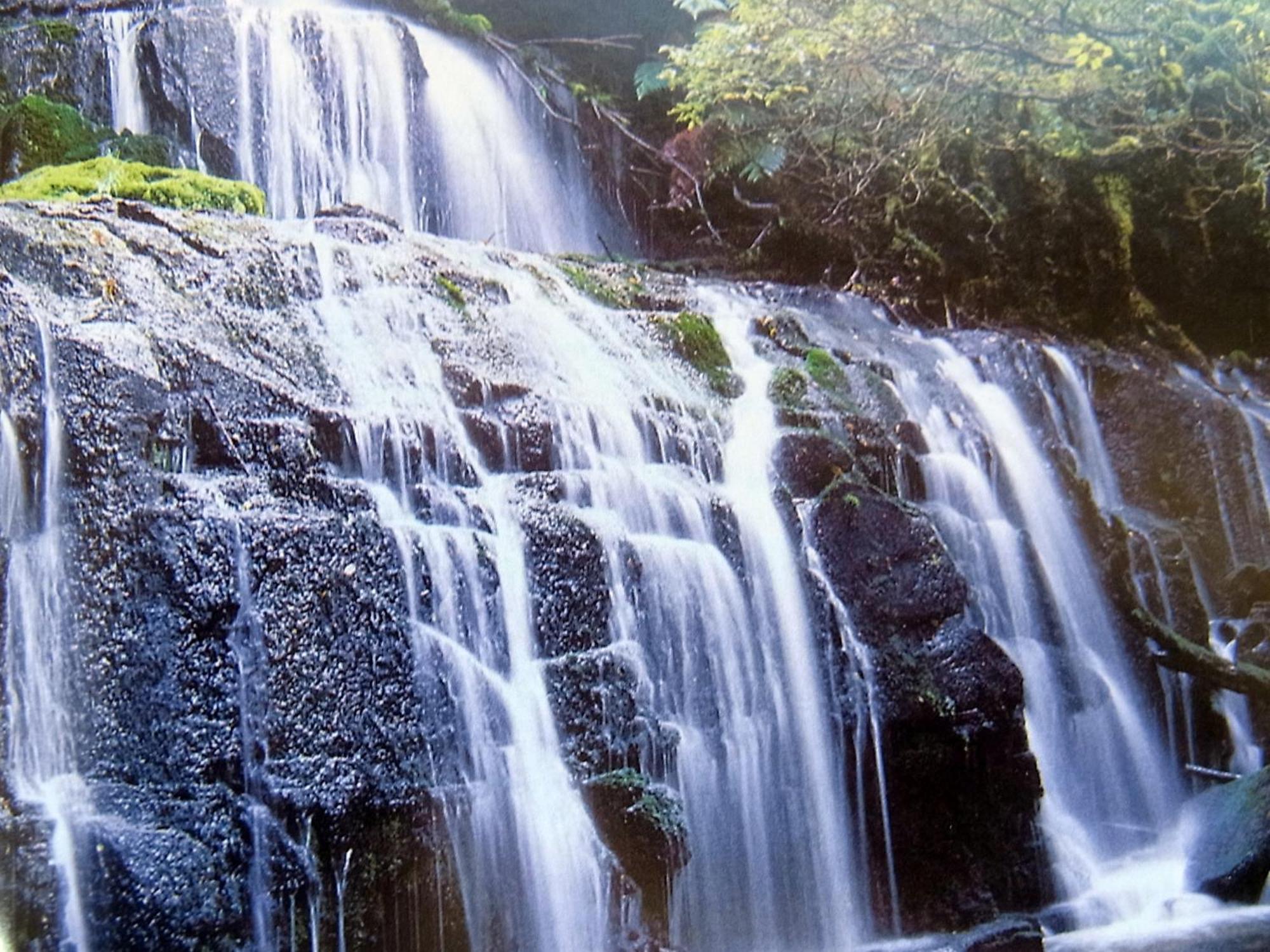 Winton113 On Park住宿加早餐旅馆 外观 照片
