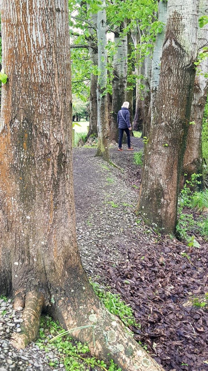 Winton113 On Park住宿加早餐旅馆 外观 照片